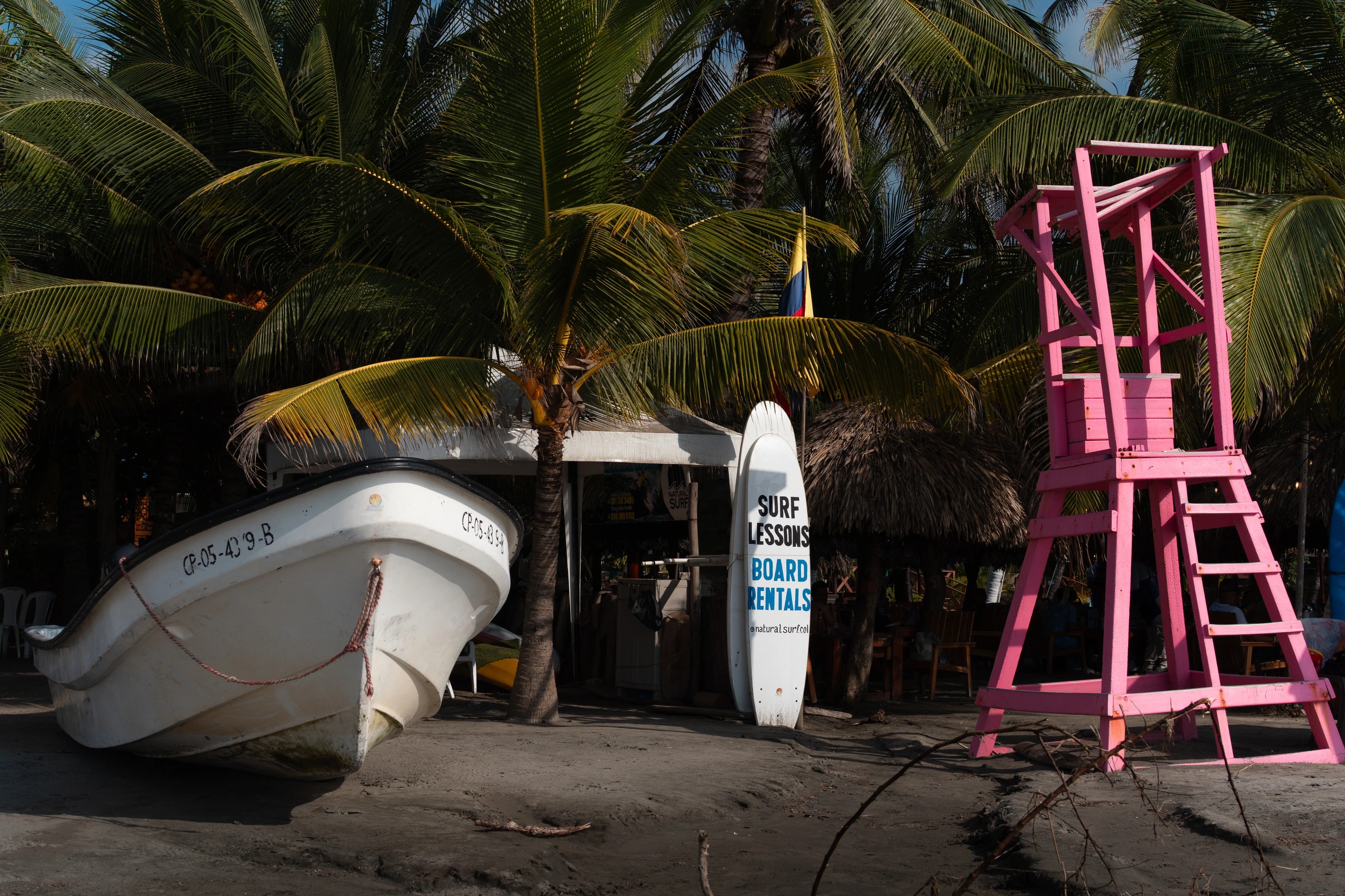 A boat beneath palm trees
