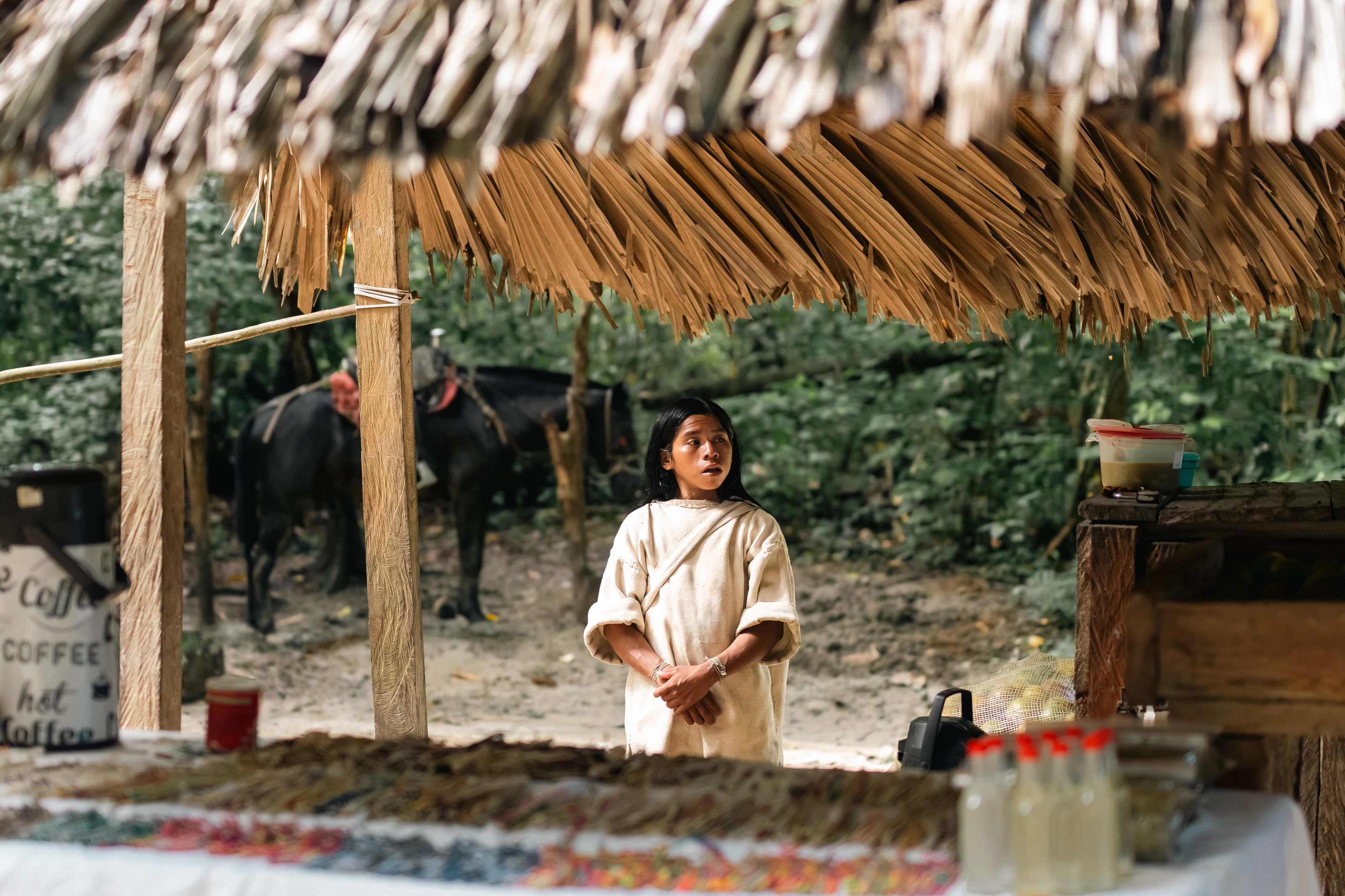 A person beneath a palm thatched roof
