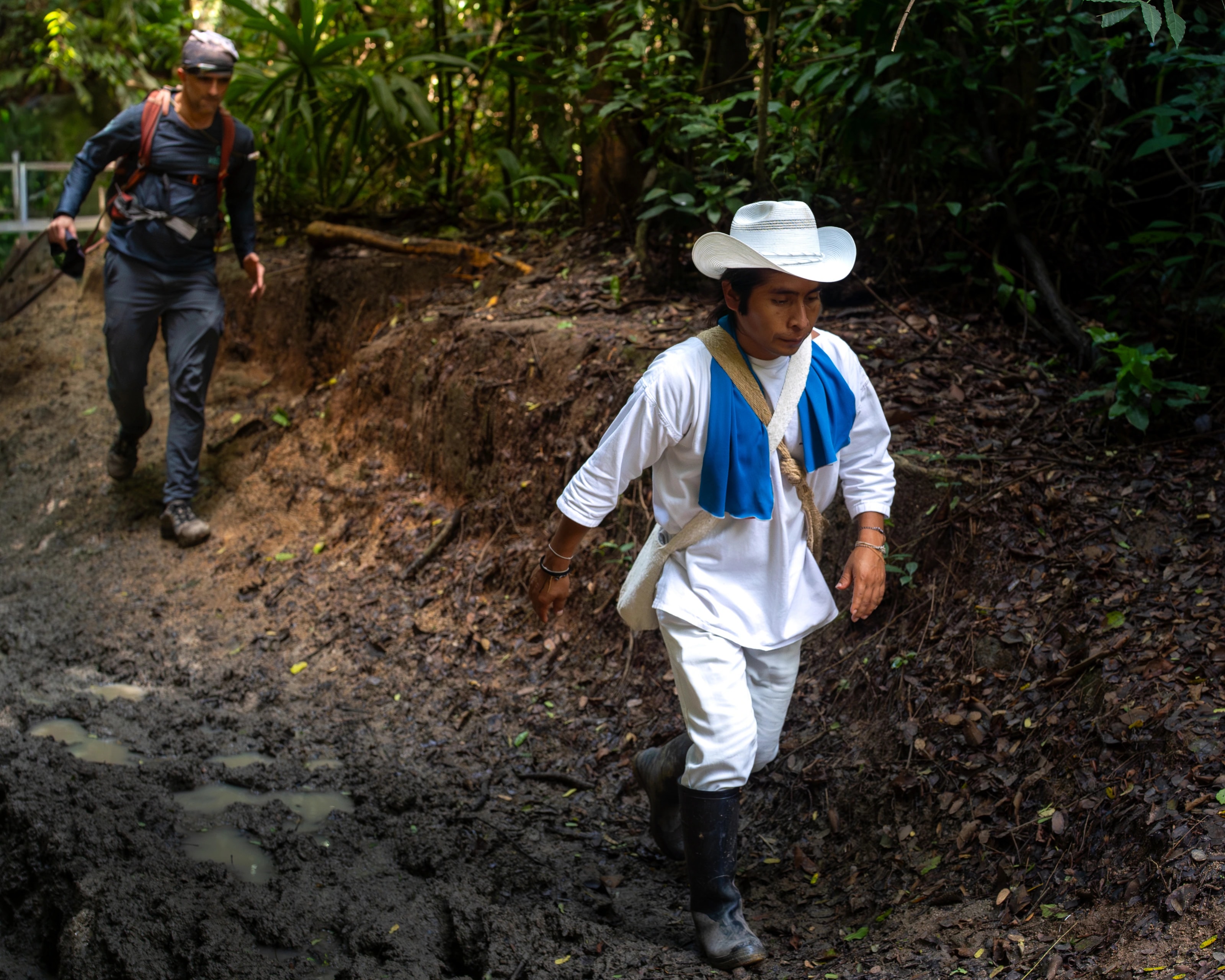 A person walking along a wooded trail