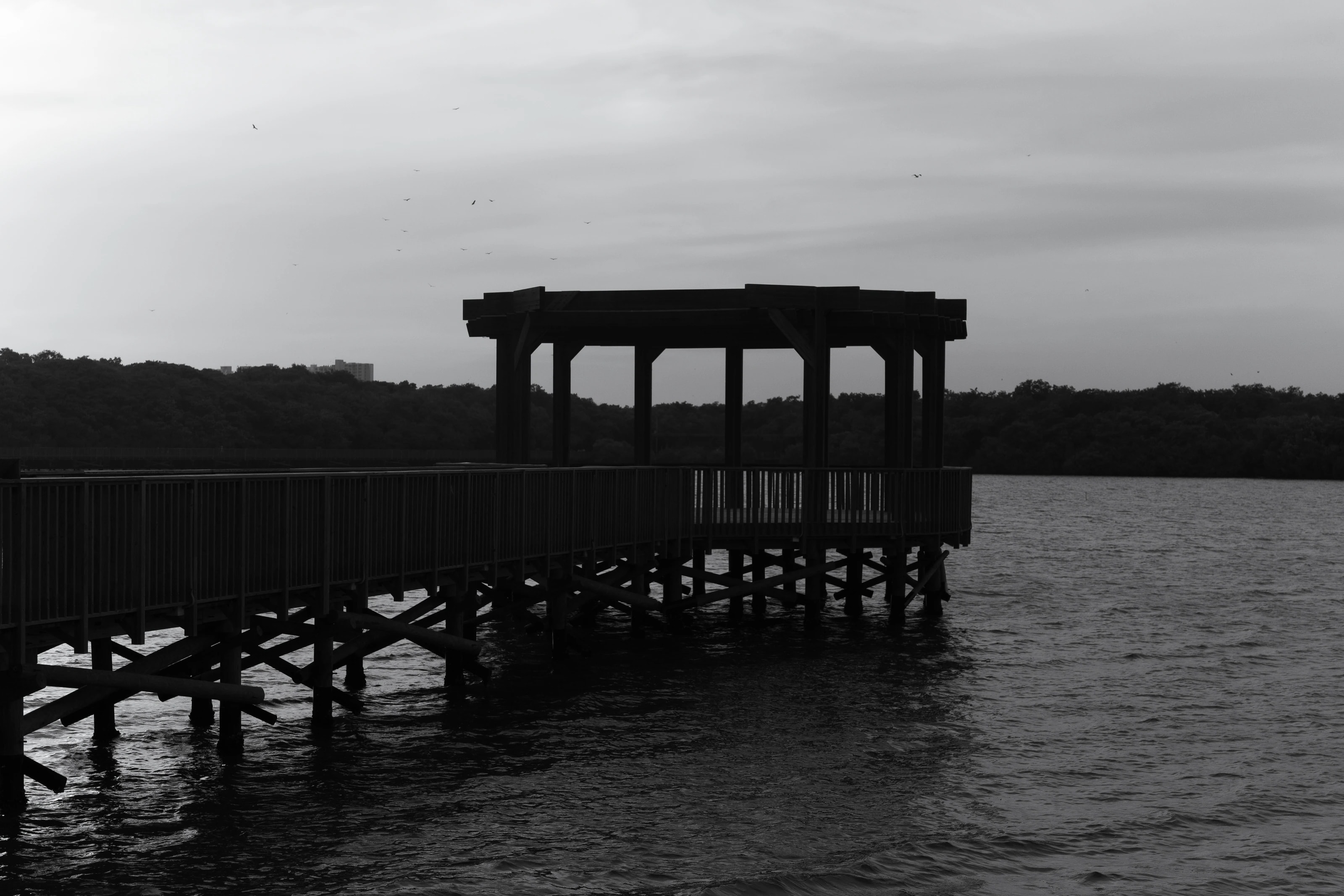 A waterside structure in black and white